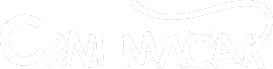Crni mačak